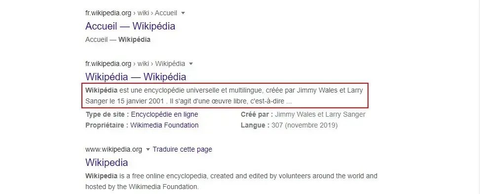 exemple d'utilisation la balise meta description dans les resultats de recherche